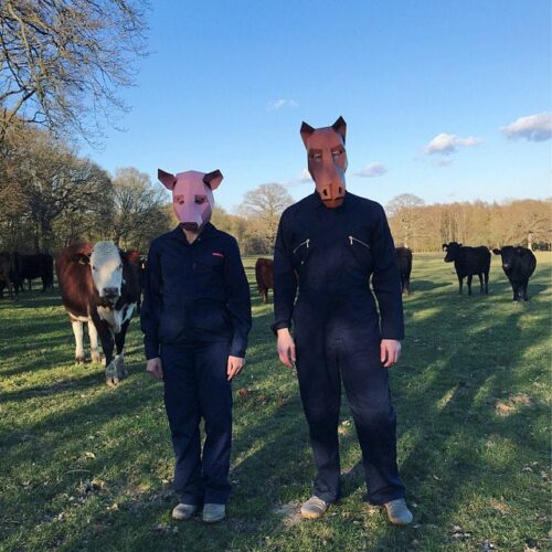 Adult in the countryside with 3D paper pig mask